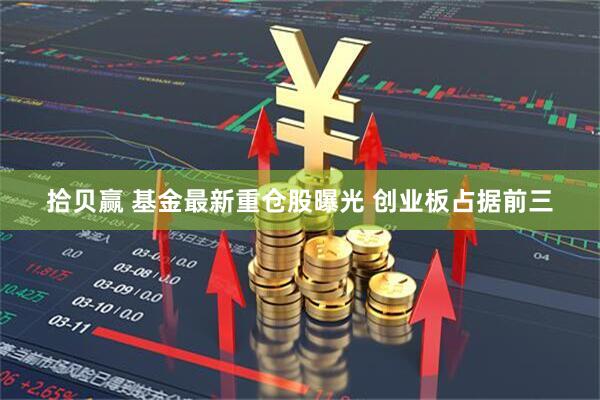 拾贝赢 基金最新重仓股曝光 创业板占据前三
