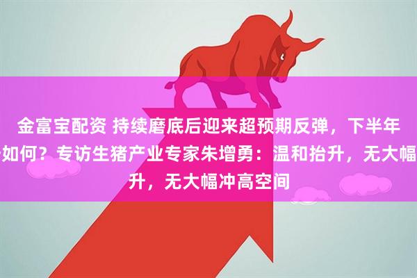 金富宝配资 持续磨底后迎来超预期反弹，下半年猪价形势如何？专访生猪产业专家朱增勇：温和抬升，无大幅冲高空间