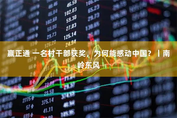 赢正通 一名村干部获奖，为何能感动中国？丨南岭东风